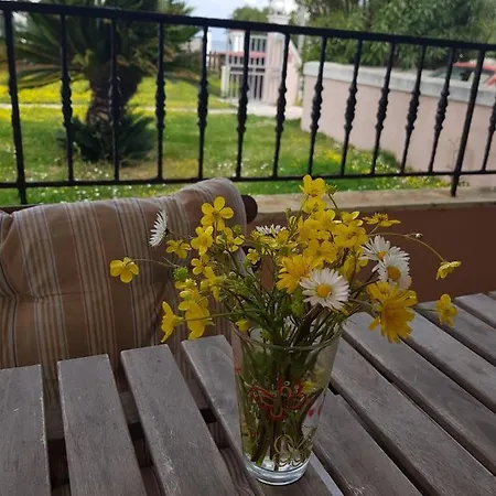 Dream Vacation Apartament